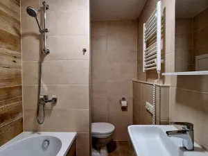 Prodej bytu 1+1, Chlumec, Tuchomyšlská, 38 m2