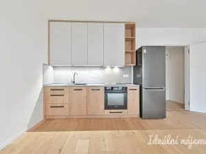 Pronájem bytu 1+kk, Brno, Bratislavská, 35 m2