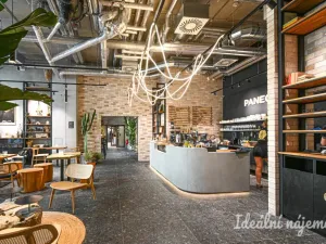 Pronájem bytu 1+kk, Brno, Bratislavská, 35 m2