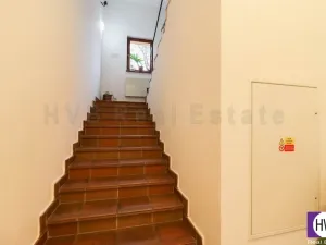 Pronájem obchodního prostoru, Ostrava, U Dvoru, 230 m2