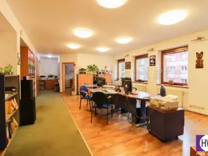 Pronájem obchodního prostoru, Ostrava, U Dvoru, 230 m2