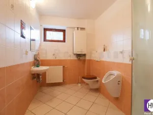 Pronájem obchodního prostoru, Ostrava, U Dvoru, 314 m2
