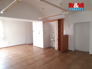 Pronájem zemědělského objektu, Lešná, 220 m2