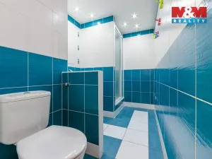 Prodej bytu 2+1, Sokolov, Alšova, 62 m2