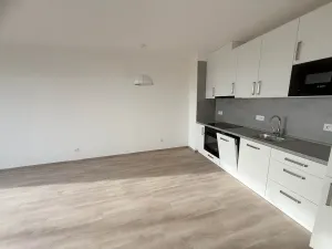 Pronájem bytu 2+kk, Plzeň, Hrachová, 43 m2