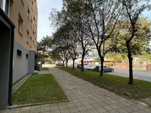 Pronájem bytu 2+kk, Brno, Křídlovická, 53 m2