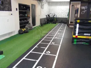 Pronájem komerční nemovitosti, Praha - Karlín, Pernerova, 358 m2