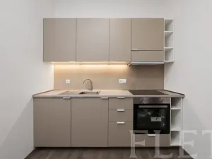 Pronájem bytu 1+1, Praha - Smíchov, Preslova, 73 m2