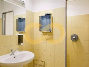 Pronájem kanceláře, Písek, Alšovo nám., 200 m2