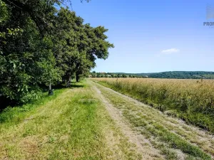 Prodej pozemku pro bydlení, Viničné Šumice, 1648 m2