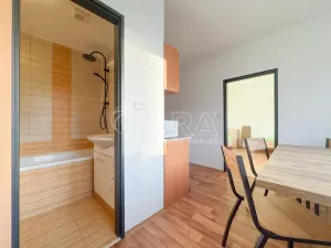 Pronájem bytu 3+1, České Budějovice - České Budějovice 2, J. Opletala, 65 m2