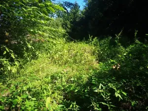 Prodej pozemku, Klatovy, 407 m2