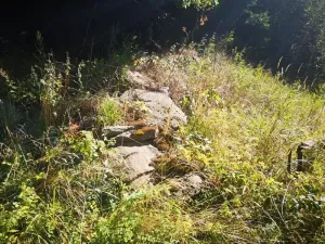 Prodej pozemku, Klatovy, 407 m2