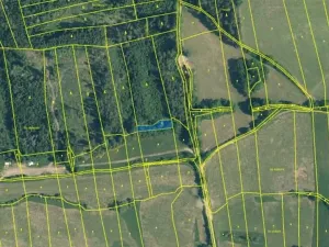 Prodej lesa, Neurazy, 727 m2