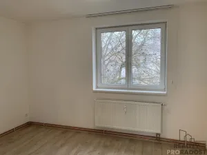 Pronájem bytu 3+kk, Ledenice, Náměstí, 70 m2