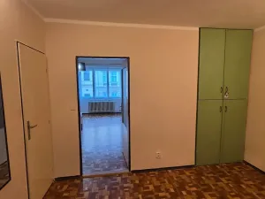 Pronájem bytu 1+1, Hradec Králové, Pospíšilova, 48 m2