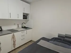 Pronájem bytu 1+kk, Praha - Jinonice, Peroutkova, 16 m2