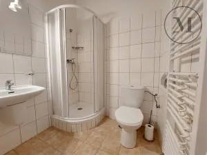 Prodej bytu 1+kk, Benešov nad Černou, 18 m2