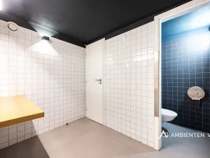 Prodej obchodního prostoru, Brno, Masarykova, 494 m2