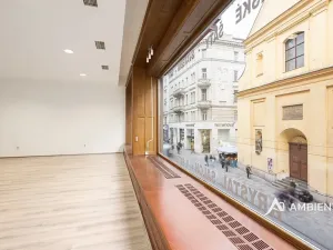 Prodej obchodního prostoru, Brno, Masarykova, 494 m2