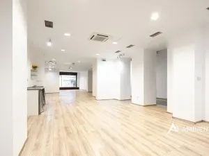 Prodej obchodního prostoru, Brno, Masarykova, 494 m2