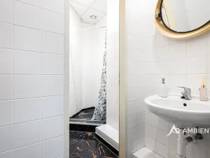 Prodej obchodního prostoru, Brno, Masarykova, 494 m2