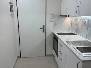 Pronájem bytu 1+kk, Praha - Vinohrady, Nad olšinami, 24 m2