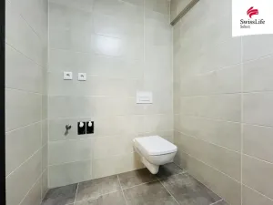 Pronájem bytu 1+1, Blovice, Lipová, 46 m2