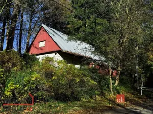 Prodej chalupy, Říčky v Orlických horách, 65 m2