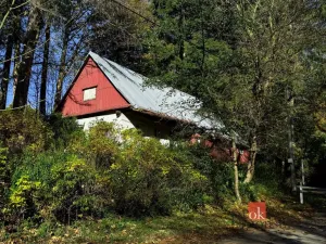 Prodej chalupy, Říčky v Orlických horách, 65 m2