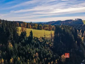 Prodej chalupy, Říčky v Orlických horách, 65 m2