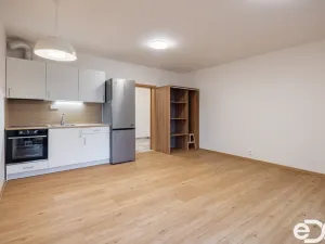Pronájem bytu 1+kk, Praha - Podolí, Jeremenkova, 42 m2