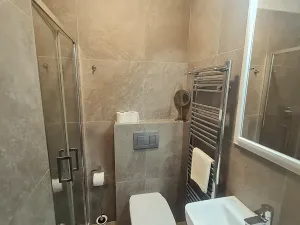 Prodej apartmánu, Brno, náměstí Svobody, 195 m2