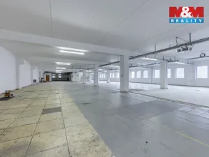 Prodej obchodního prostoru, Nejdek, Karlovarská, 5519 m2