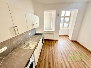 Pronájem bytu 3+kk, Praha - Žižkov, Vlkova, 56 m2