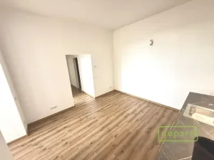 Pronájem bytu 3+kk, Praha - Žižkov, Vlkova, 56 m2