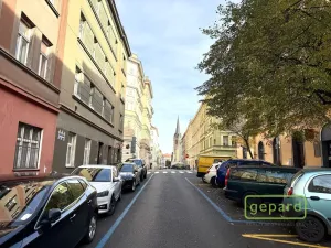 Pronájem bytu 3+kk, Praha - Žižkov, Vlkova, 56 m2