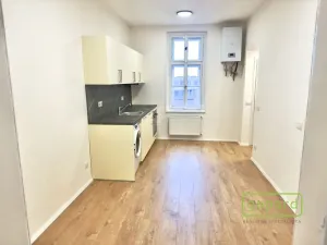 Pronájem bytu 2+kk, Praha - Žižkov, Vlkova, 39 m2