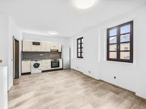 Prodej činžovního domu, Domažlice - Město, Spálená, 312 m2