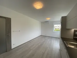 Pronájem bytu 2+kk, Mladá Boleslav - Čejetice, Nad Červenkou, 46 m2
