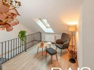 Prodej bytu 2+kk, Brno, Skořepka, 52 m2