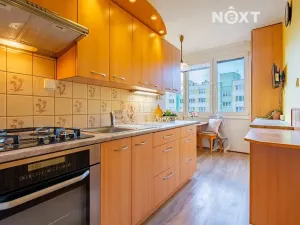 Prodej bytu 2+1, Český Krumlov, Sídliště Plešivec, 57 m2