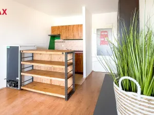 Pronájem bytu 1+kk, Ostrava - Zábřeh, Čujkovova, 30 m2