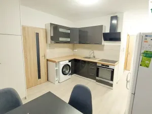 Pronájem bytu 1+1, Cheb, Lesní, 35 m2