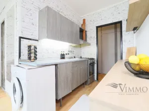 Pronájem bytu 1+1, České Budějovice, Josefy Kolářové, 41 m2