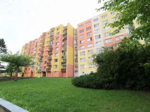 Pronájem bytu 1+1, České Budějovice, Josefy Kolářové, 41 m2