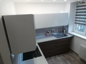 Prodej bytu 2+1, Most, Petra Jilemnického, 56 m2