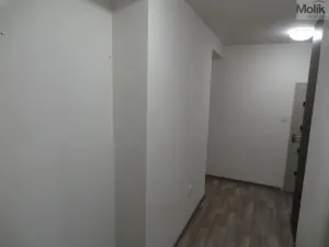 Prodej bytu 2+1, Most, Petra Jilemnického, 56 m2