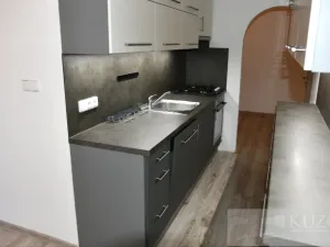 Pronájem bytu 2+1, Plzeň, Dvořákova, 62 m2