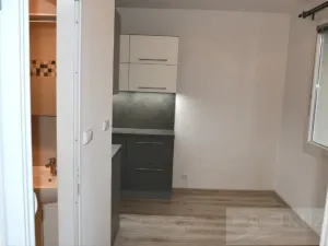 Pronájem bytu 2+1, Plzeň, Dvořákova, 62 m2